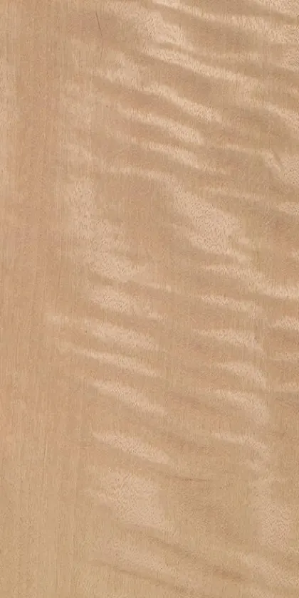 Movingui Frisé dyed wood veneer code D5.S.011