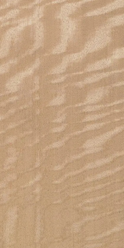 Movingui Frisé dyed wood veneer code D5.S.012