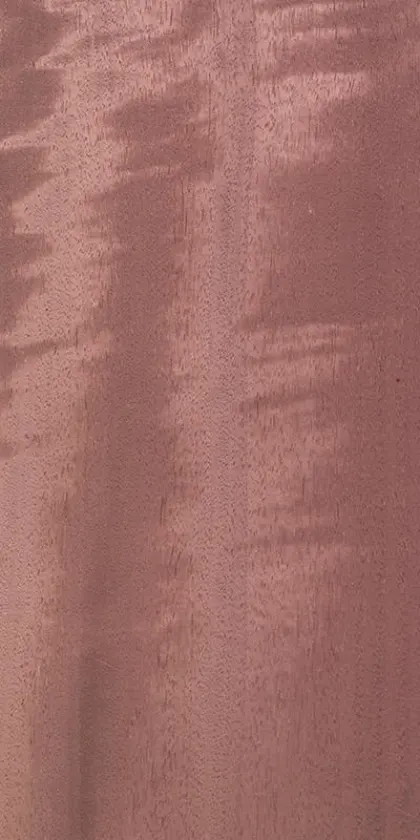 Movingui Frisé dyed wood veneer code D5.S.013