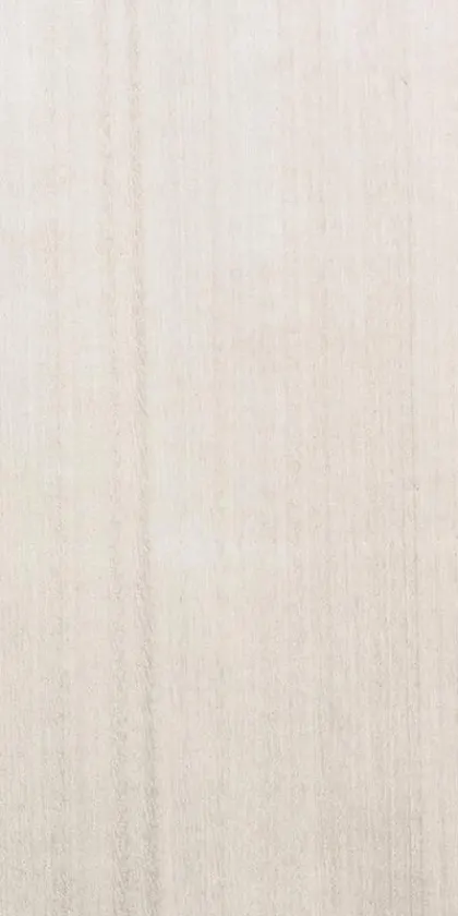 Eucalyptus dyed wood veneer code E5.007