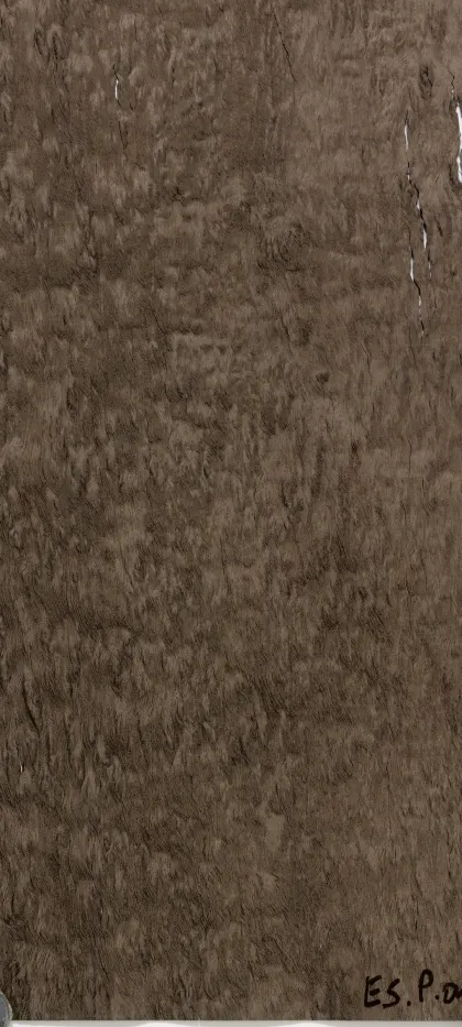 Eucalyptus Pomelé dyed wood veneer code E5.P.010