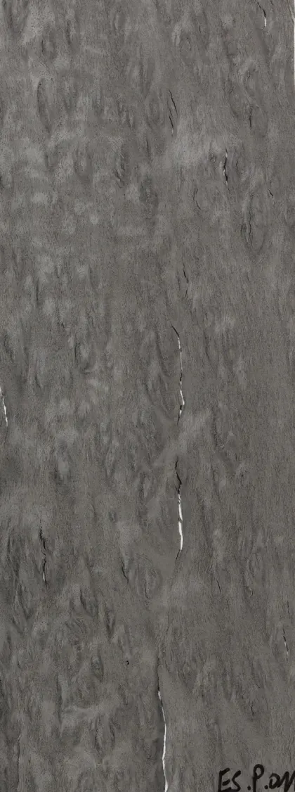 Eucalyptus Pomelé dyed wood veneer code E5.P.011