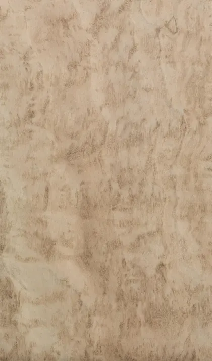 Eucalyptus Pomelé dyed wood veneer code E5.P.B03