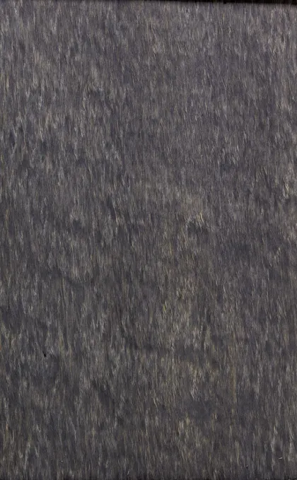 Eucalyptus Pomelé dyed wood veneer code E5.P.B09