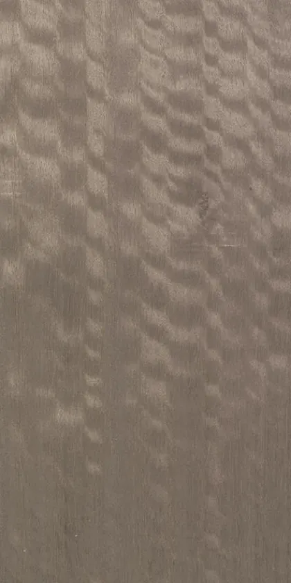 Eucalyptus Frisé dyed wood veneer code E5.S.002