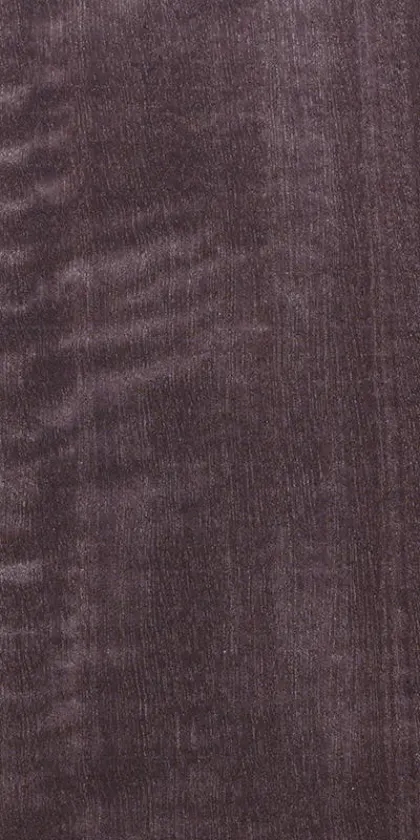 Eucalyptus Frisé dyed wood veneer code E5.S.004
