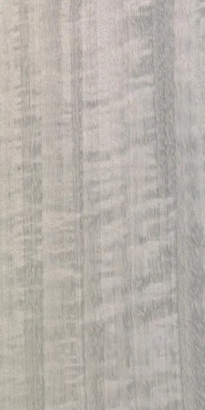 Eucalyptus Frisé dyed wood veneer code E5.S.005