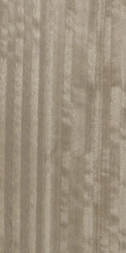 Eucalyptus Frisé dyed wood veneer code E5.S.012