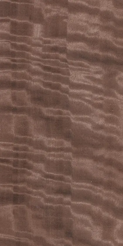 Eucalyptus Frisé dyed wood veneer code E5.S.014
