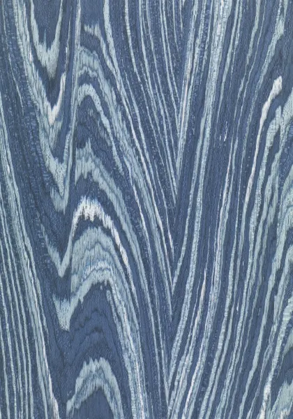 Water dyed wood veneer code ON.00.145