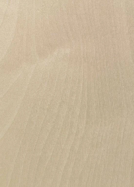 Birch Tabu Code Xxx