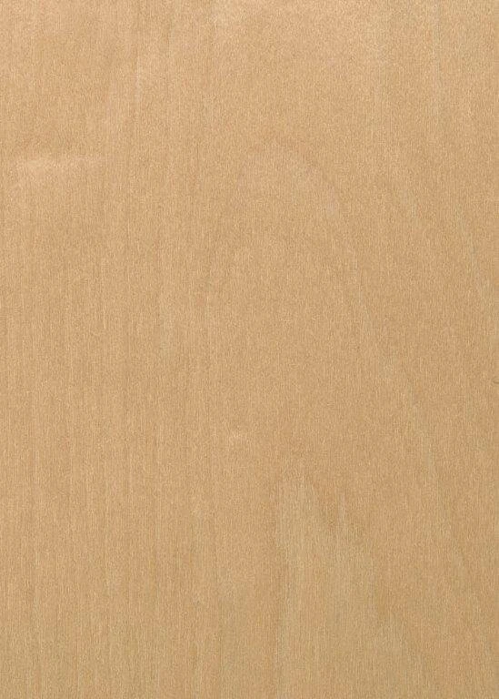 Birch Tabu Code Xxx