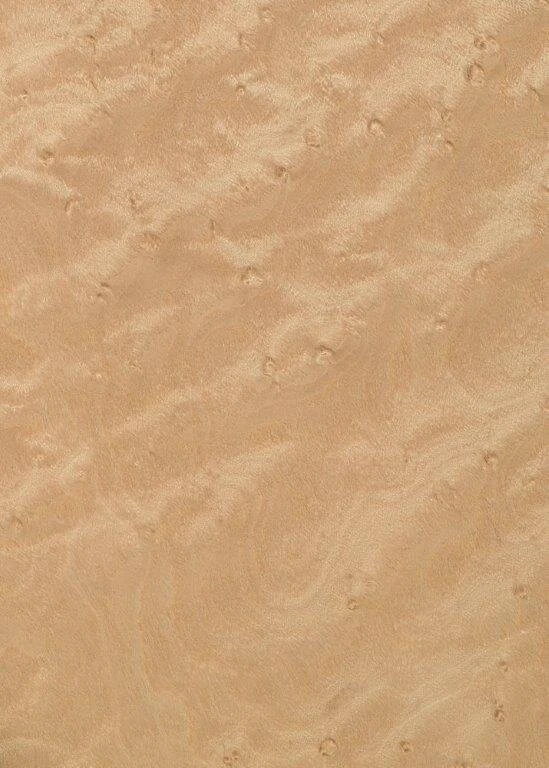 Bird's eye maple veneer by Tabu (T33327E00)