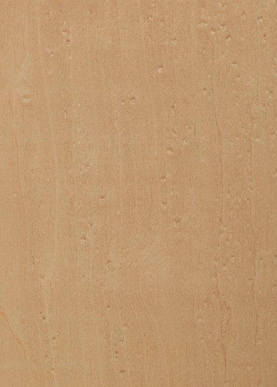 Bird's eye maple veneer by Tabu (T33327E01)