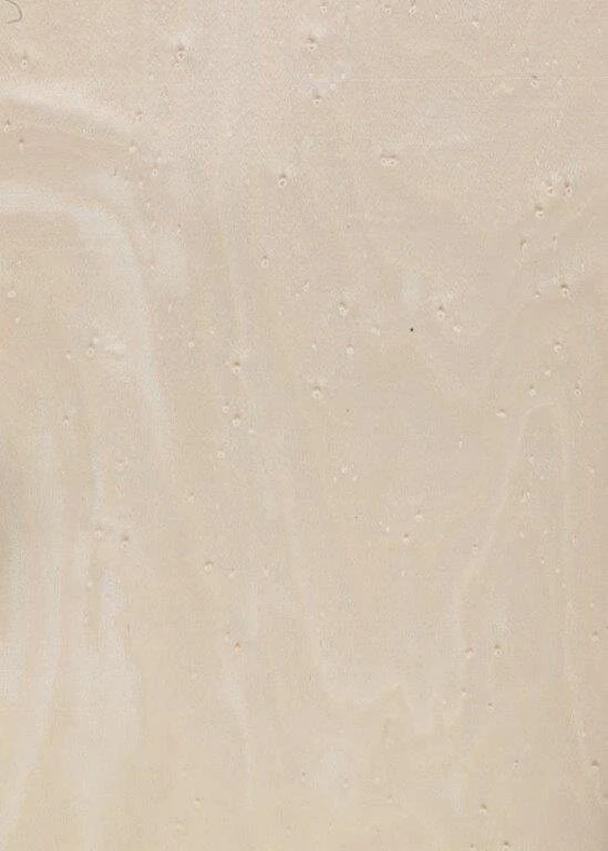 Bird S Eye Maple Tabu Code Xxx