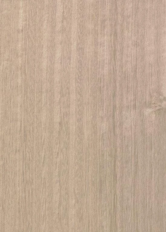 Eucalyptus Tabu Code Xxx