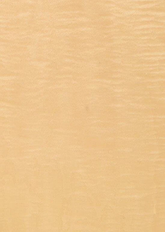 Figured sycamore veneer by Tabu (T33327DEC)
