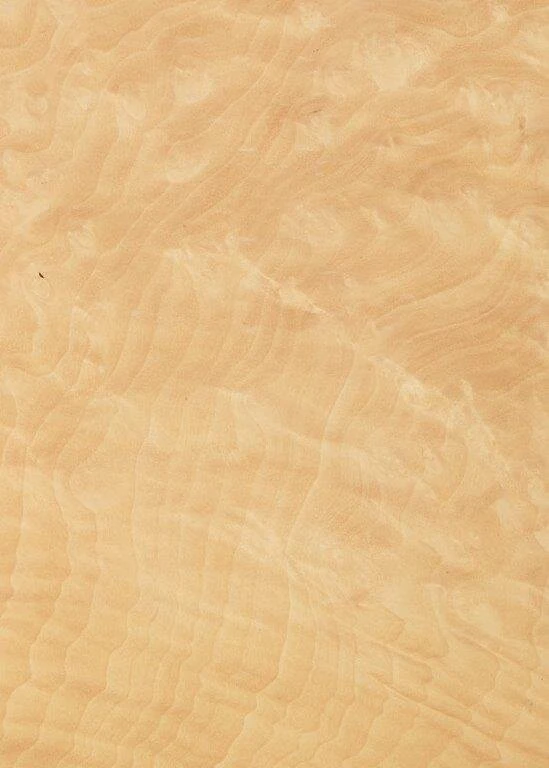 Madrona burl veneer by Tabu (T33327DE6)