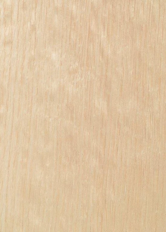 Oak Tabu Code Xxx