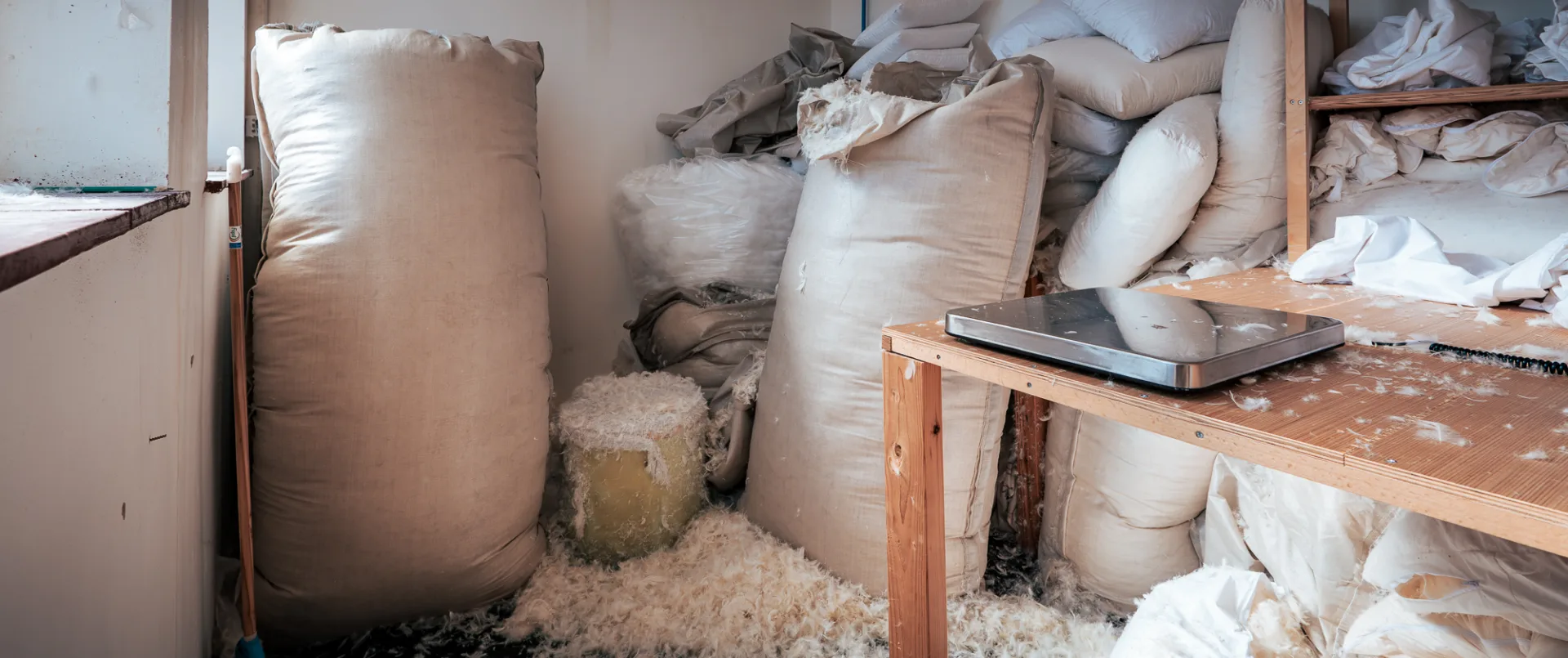 Upholstered Furniture