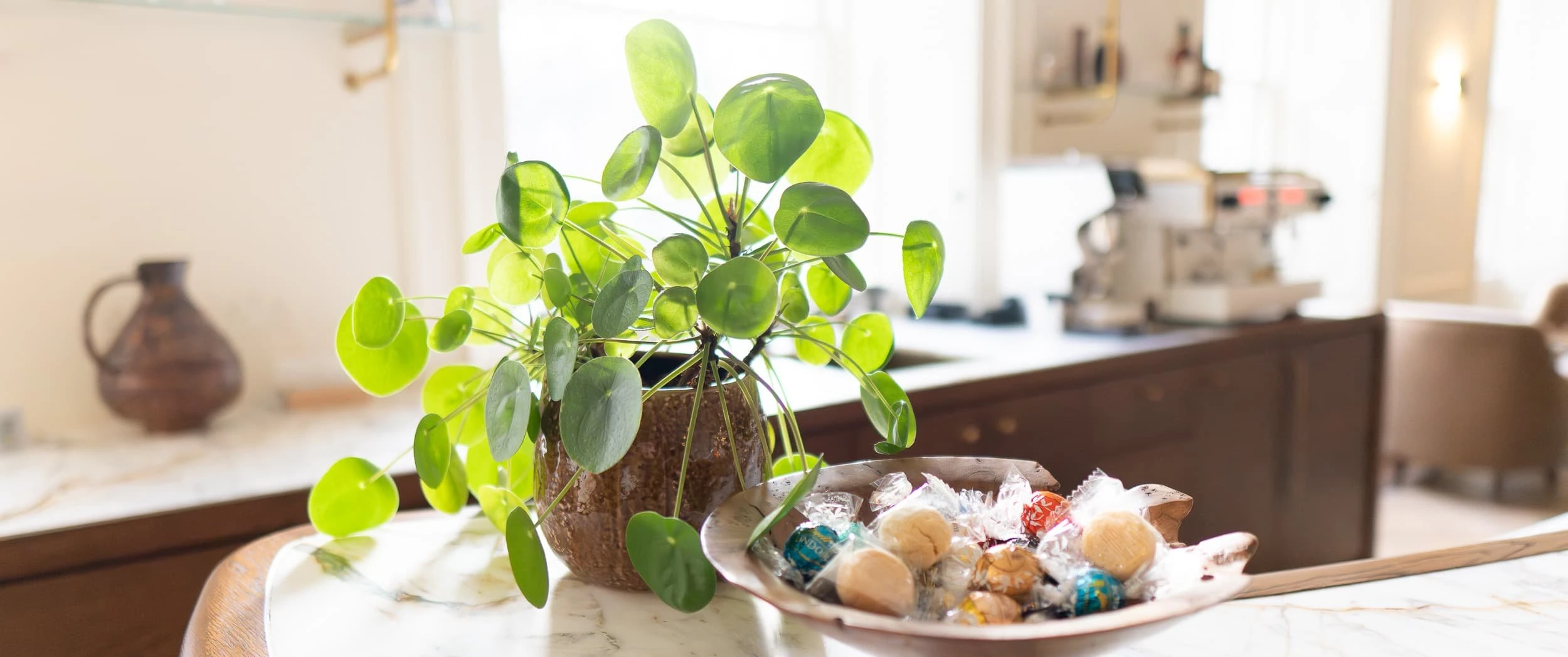 Detail of a marble counter with pot plant and bowl of wrapped sweets in the foreground, blurred bar and coffee equipment behind, suggesting a welcoming, hotel-like atmosphere for staff and guests.